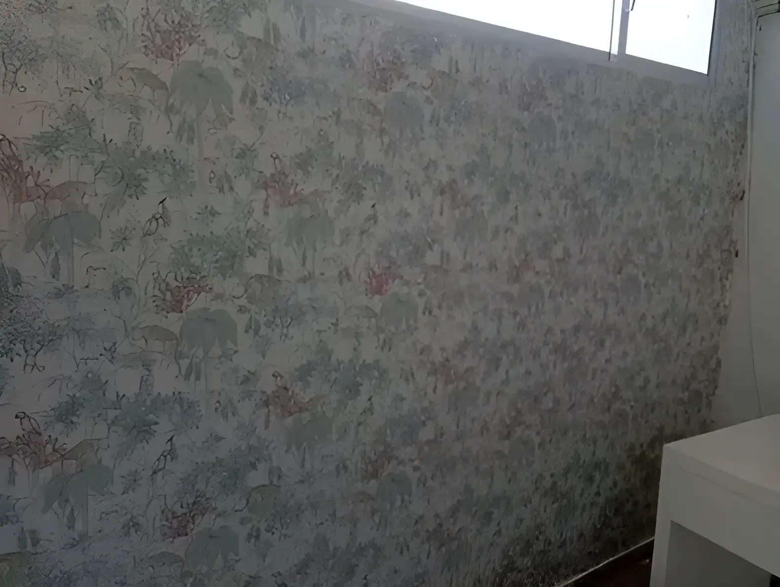 Los Pintores Móstoles colocando papel pintado decorativo en pared completa de habitación
